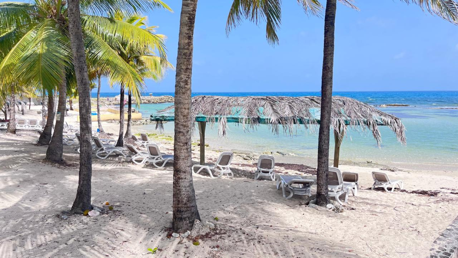 Image_, Appartement, Saint-François, ref :75