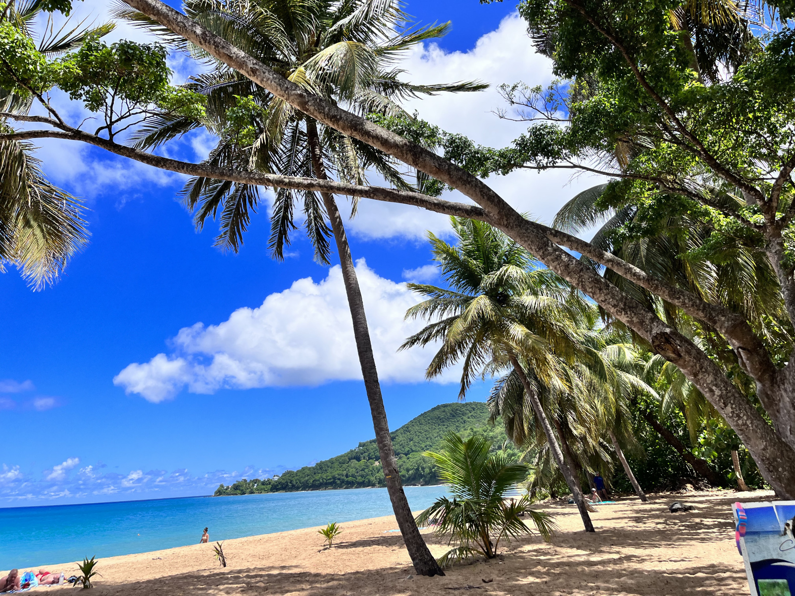 Image_, Propriete, Deshaies, ref :72