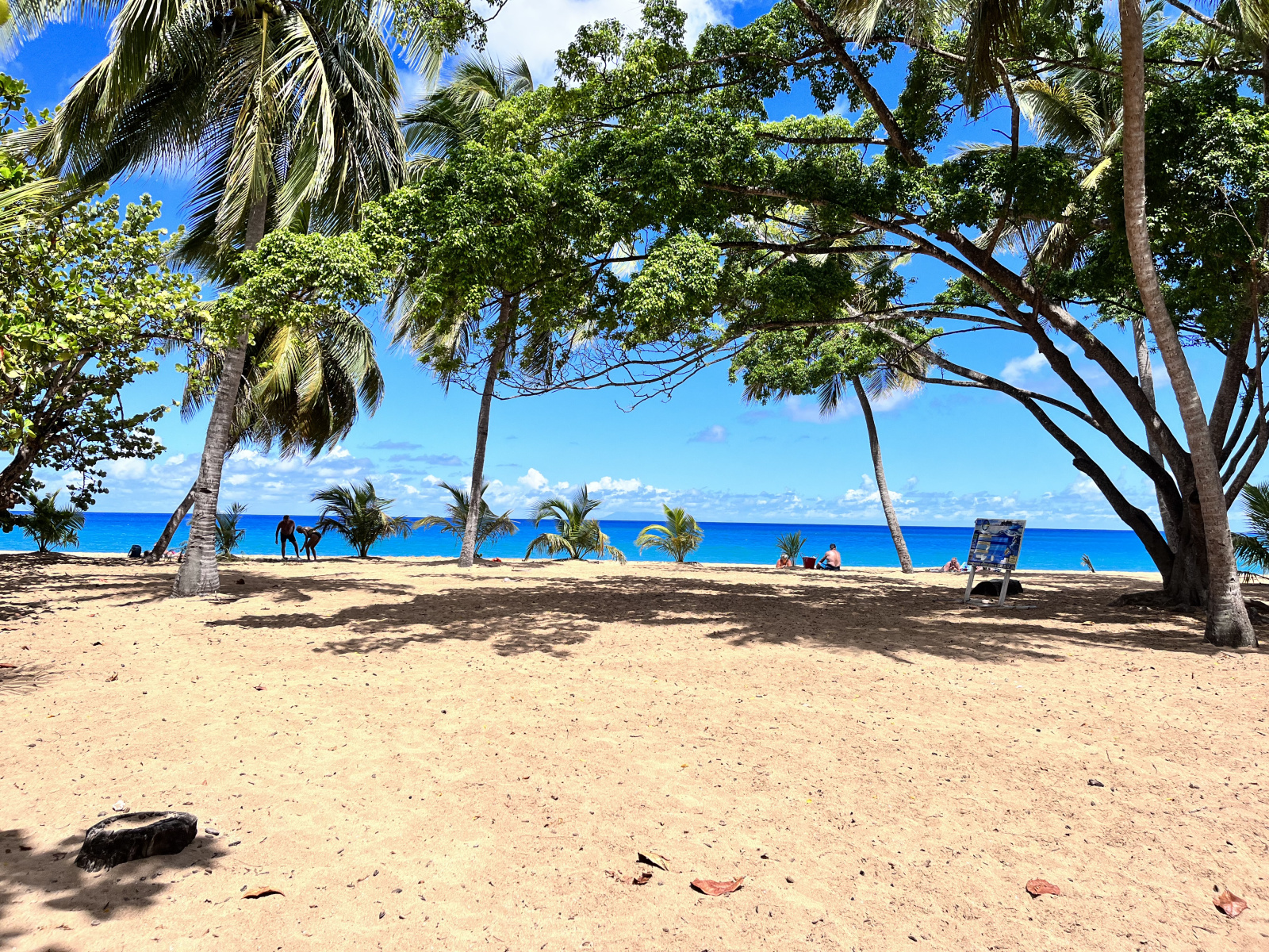 Image_, Propriete, Deshaies, ref :72