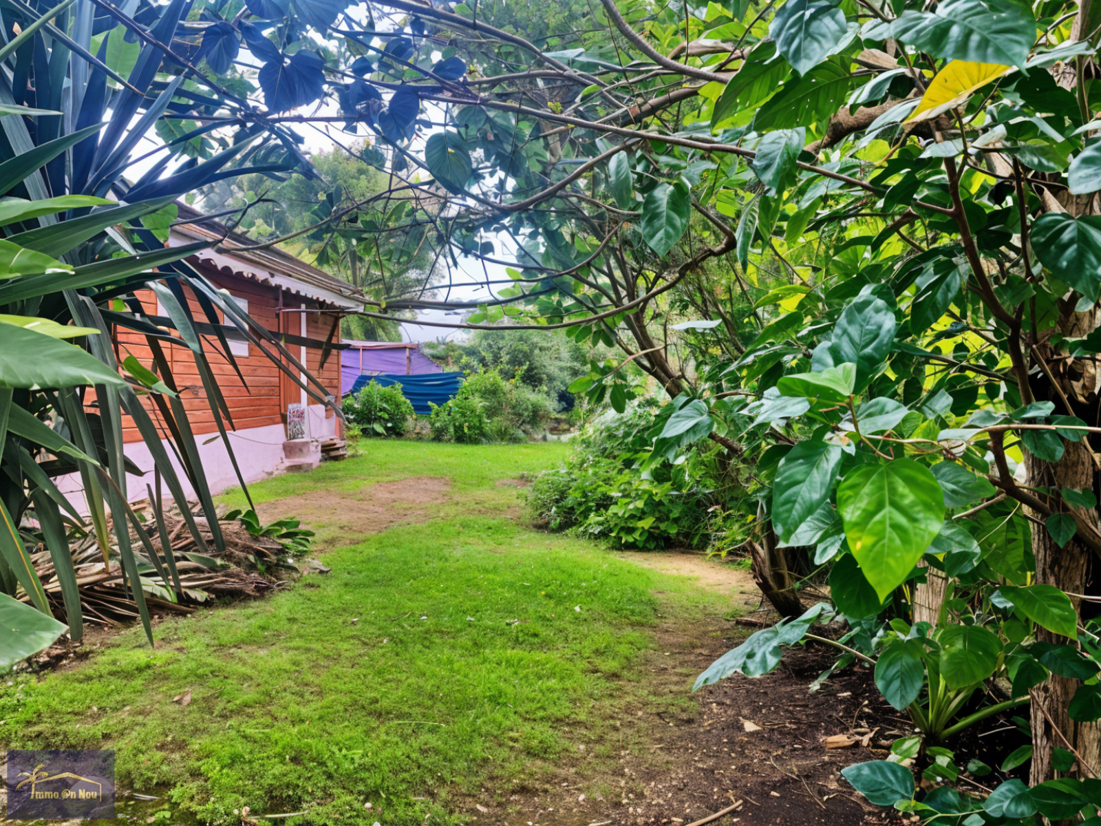 Image_, Propriete, Deshaies, ref :72