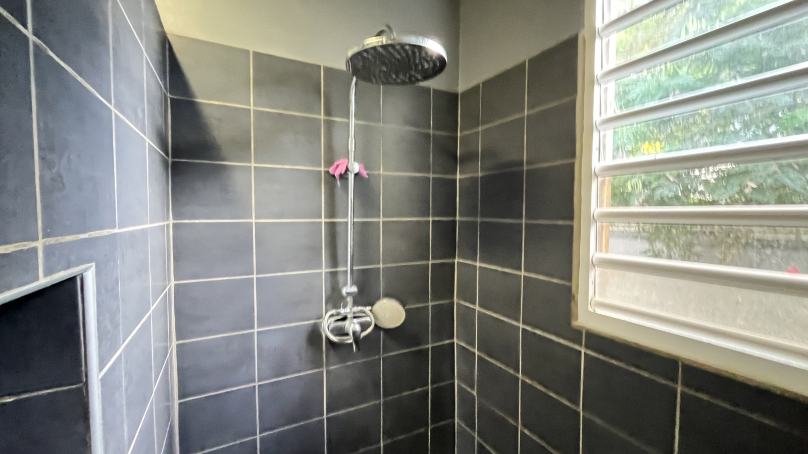 Image_, Maison, Vieux-Habitants, ref :60