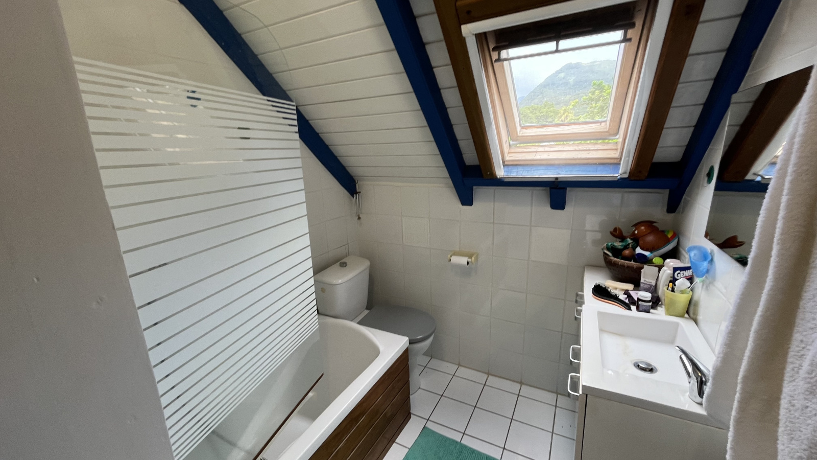 Image_, Maison, Vieux-Habitants, ref :60