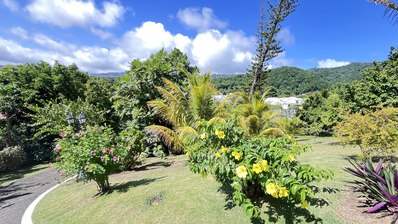 Image_, Maison, Gourbeyre, ref :67