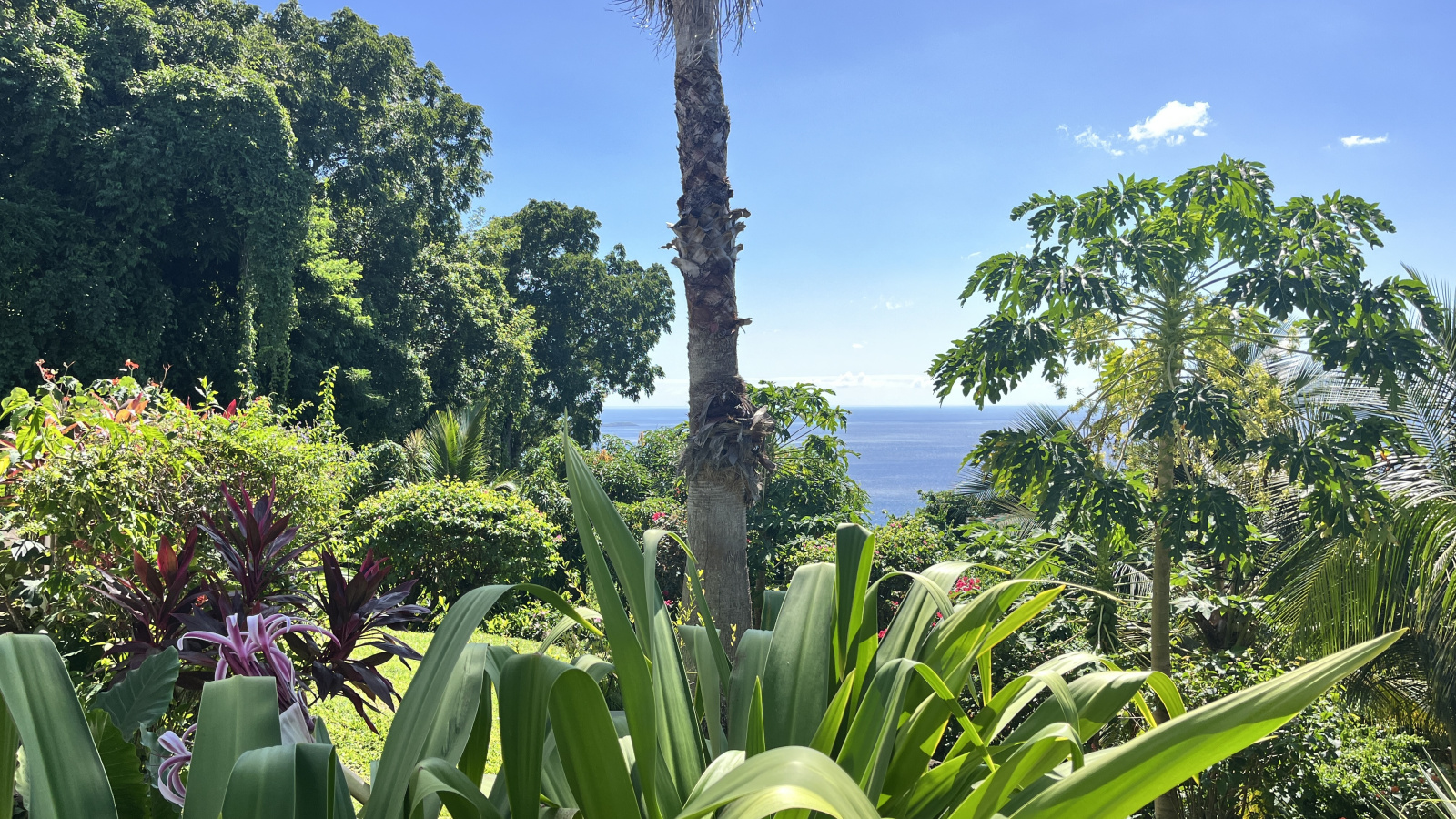 Image_, Propriete, Pointe-Noire, ref :71