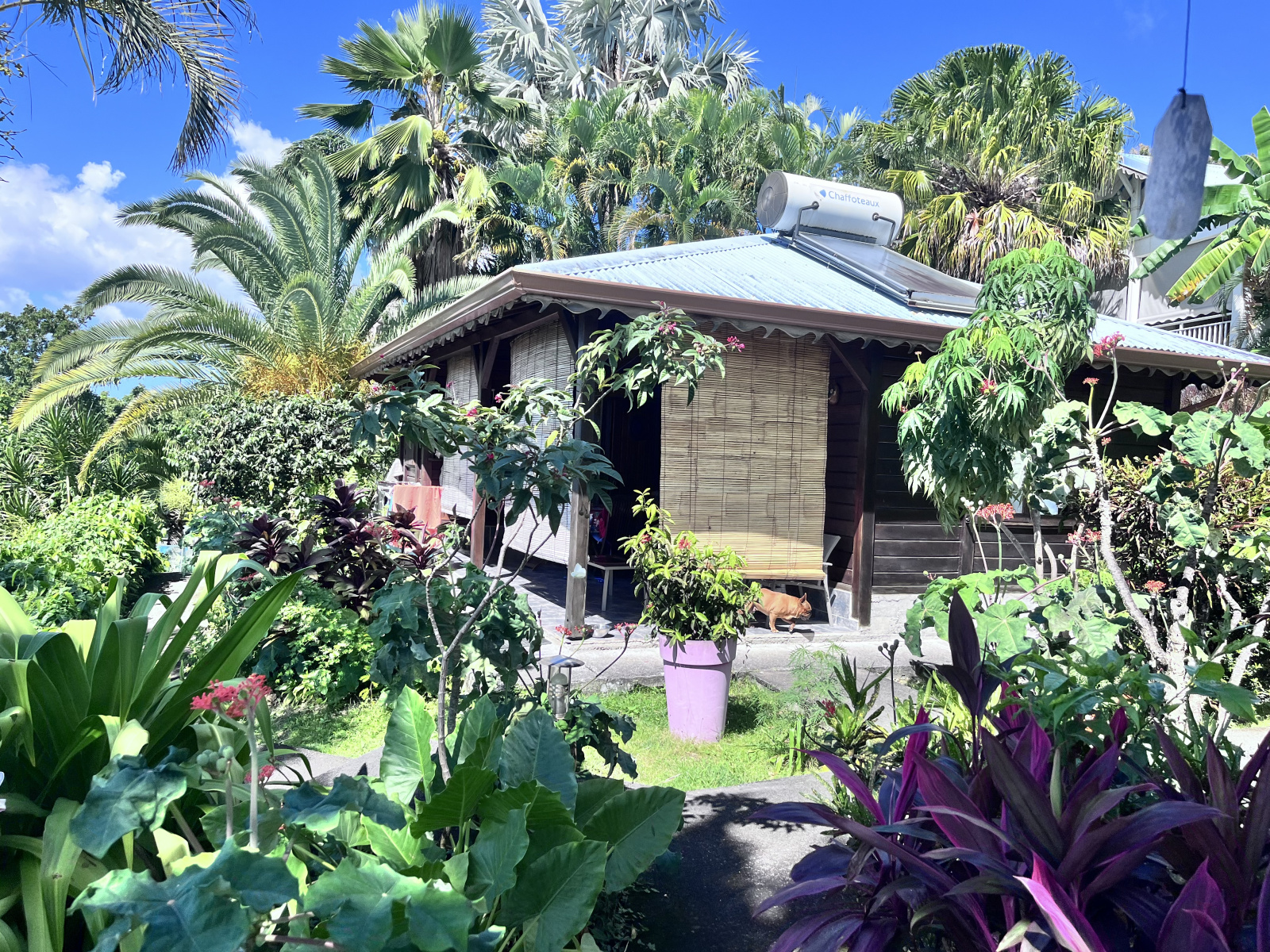 Image_, Propriete, Pointe-Noire, ref :71